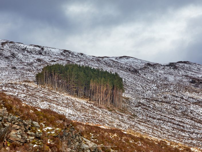 Scotland on a Road Trip in February