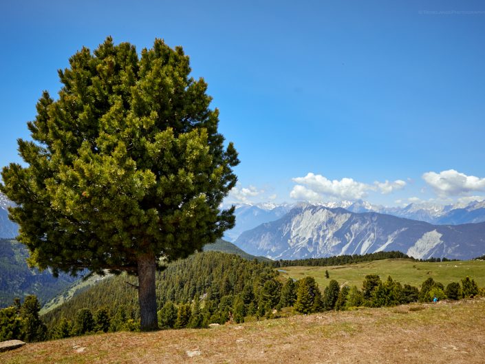 Wandern im Ötztal