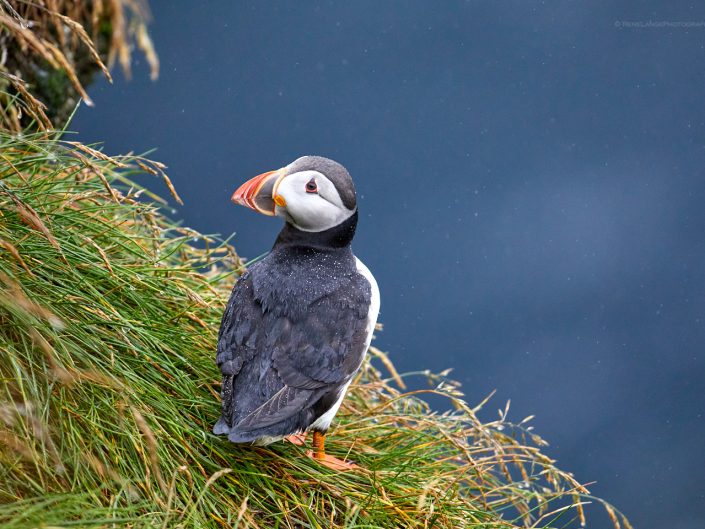 Faeroe Islands in 3 days