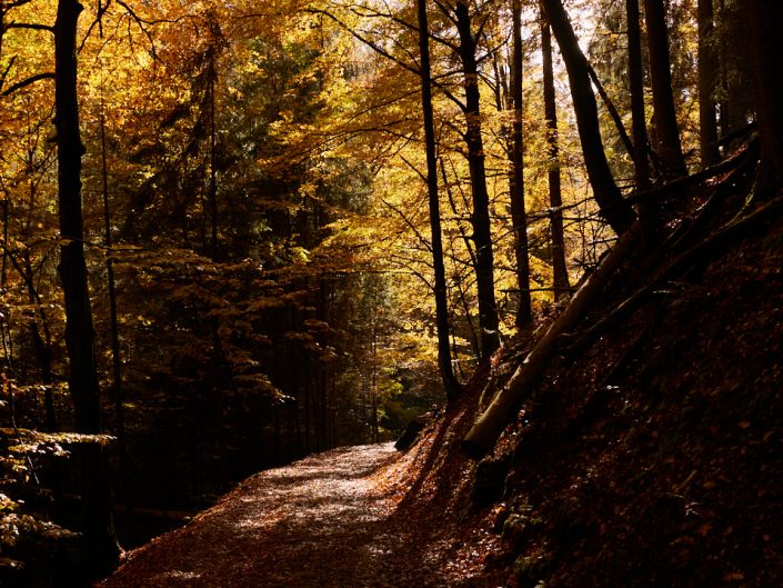 Saxon Switzerland