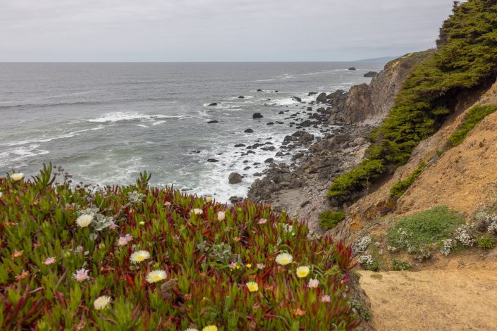 Northern California Spring 2025