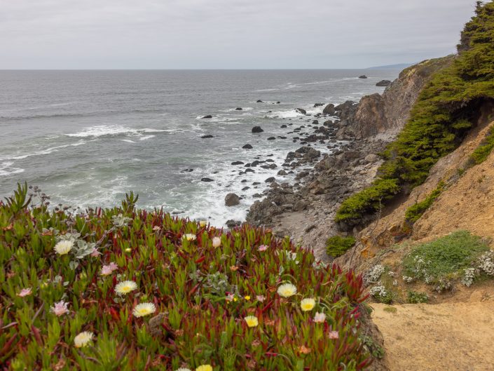 Northern California Spring 2025
